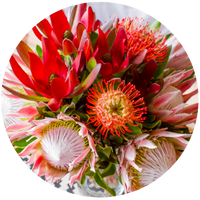 1. Proteas: 
