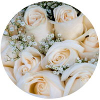 •	White Roses: 